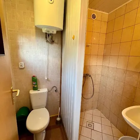 Słowińska Natura Smoldzinski Las