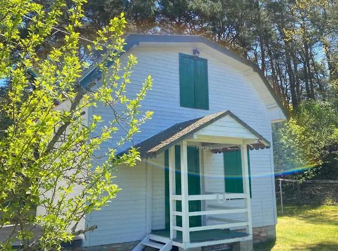 Slowinska Natura Smoldzinski Las