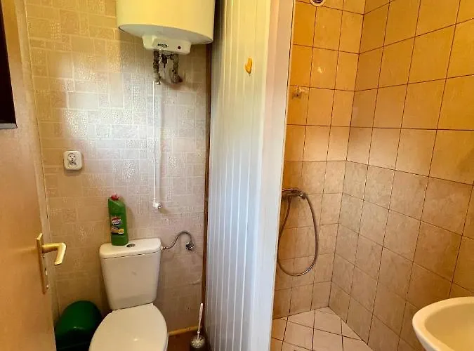 Slowinska Natura Smoldzinski Las