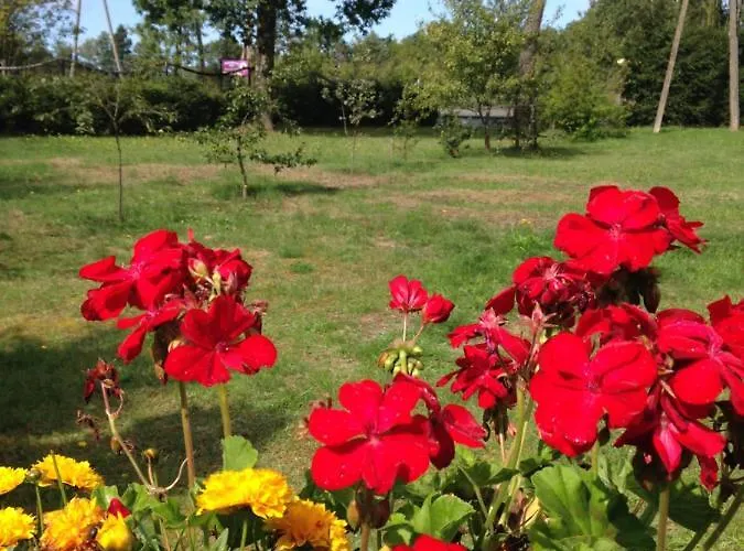 Slowinska Natura Holiday park *